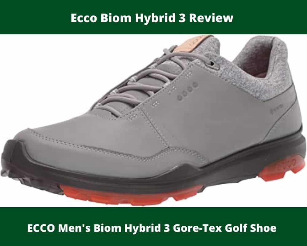 Ecco Biom Hybrid 3 Review