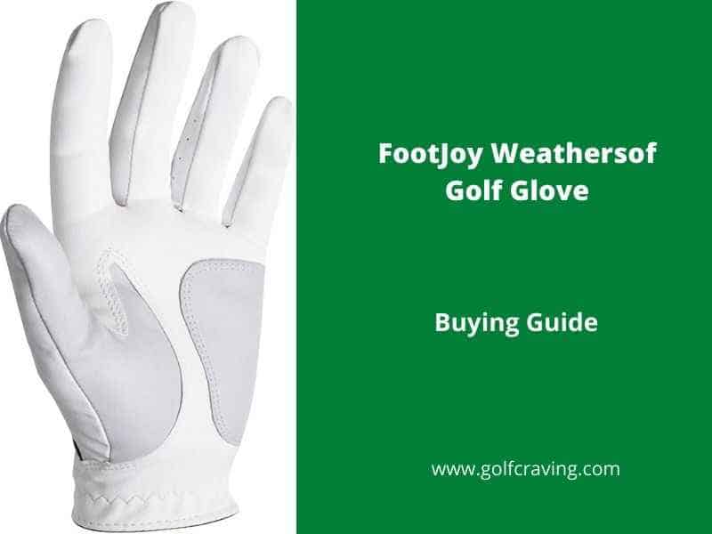 FootJoy Weathersof Golf Glove 2 Pack