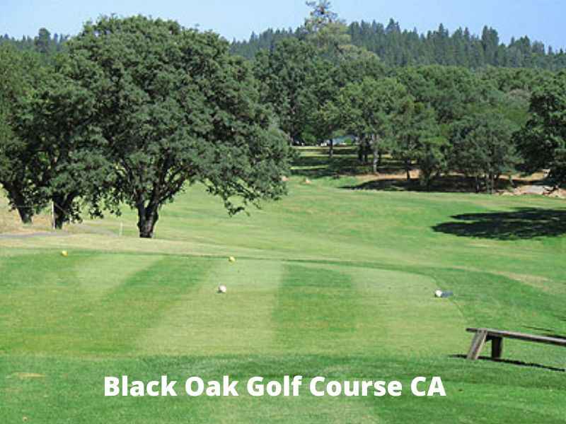 Black Oak Golf Course CA