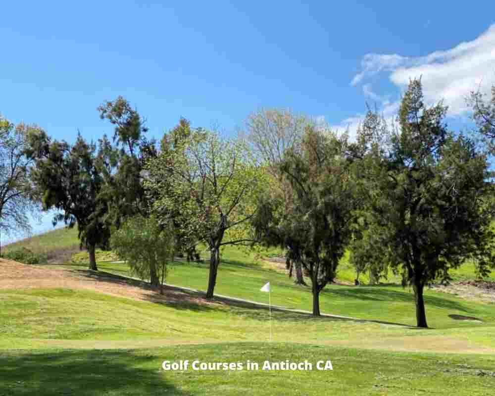 Golf Courses in Antioch CA